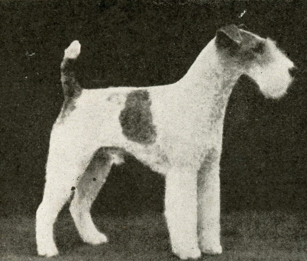 Those Were the Days …